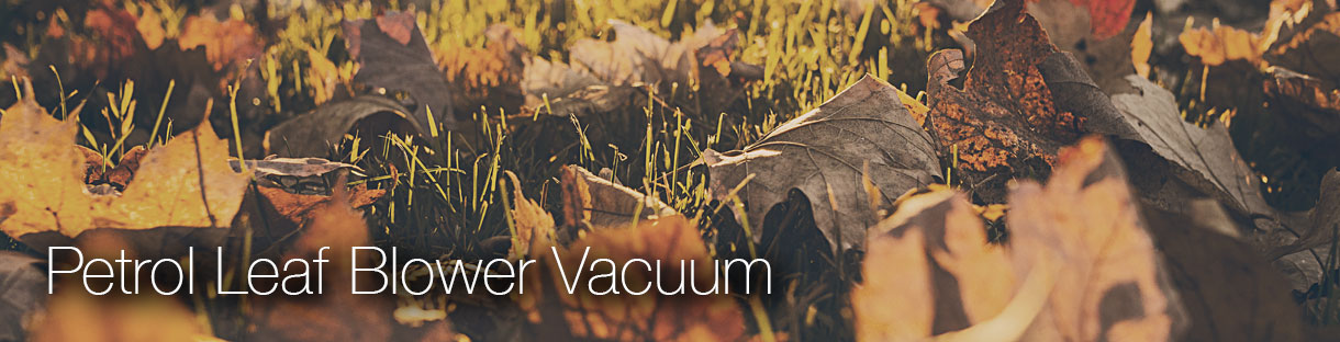 Petrol Leaf Blower Vacuum